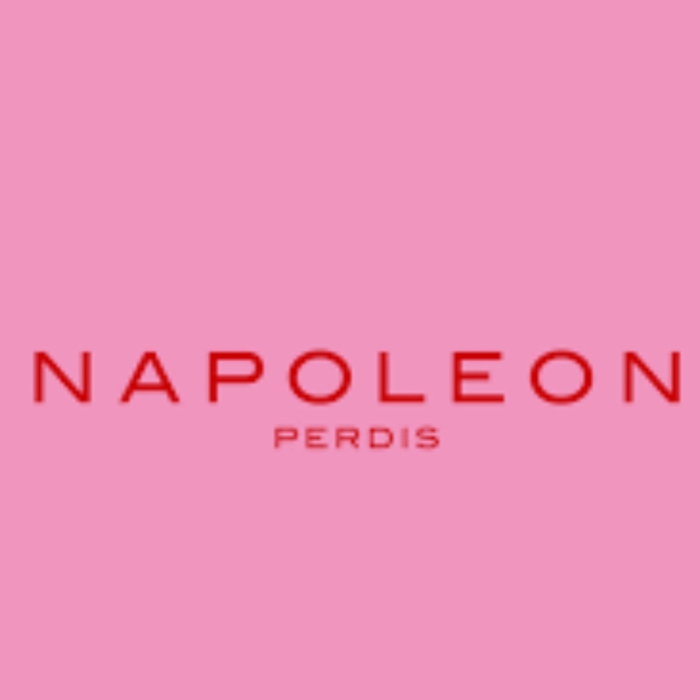 🆕️NAPOLEON PERDIS Prismatic Lip Quad PARIS✨️ Limited Edition✨️
